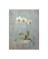 Danhui Nai Elegant Orchid Ii Canvas Art - 15.5" x 21"