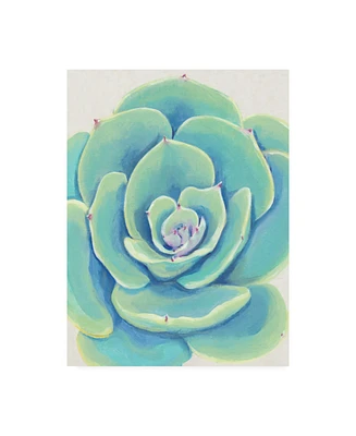 Tim O'Toole Pastel Succulent Iv Canvas Art - 19.5" x 26"