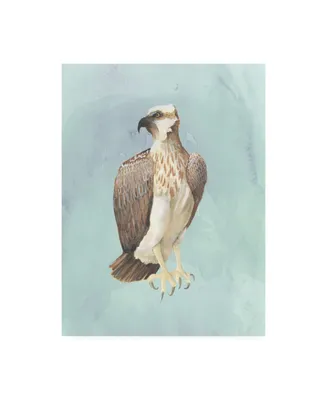 Grace Popp Watercolor Beach Bird Iv Canvas Art - 36.5" x 48"