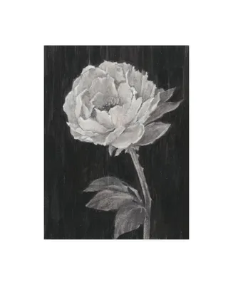 Ethan Harper Black and White Flowers Ii Canvas Art