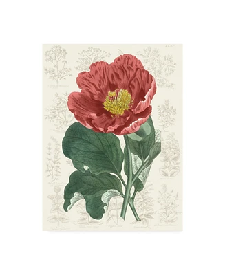 Vision Studio Peony Flower Garden I Canvas Art - 27" x 33.5"