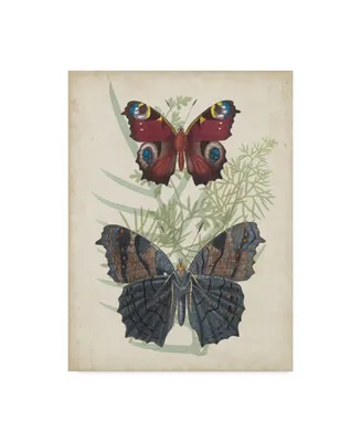 Vision Studio Butterflies and Ferns Iii Canvas Art
