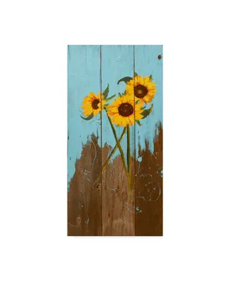 Sandra Iafrate Sunflowers on Wood I Canvas Art - 15" x 20"