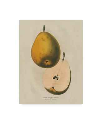 Wild Apple Portfolio Tournay V2 Canvas Art