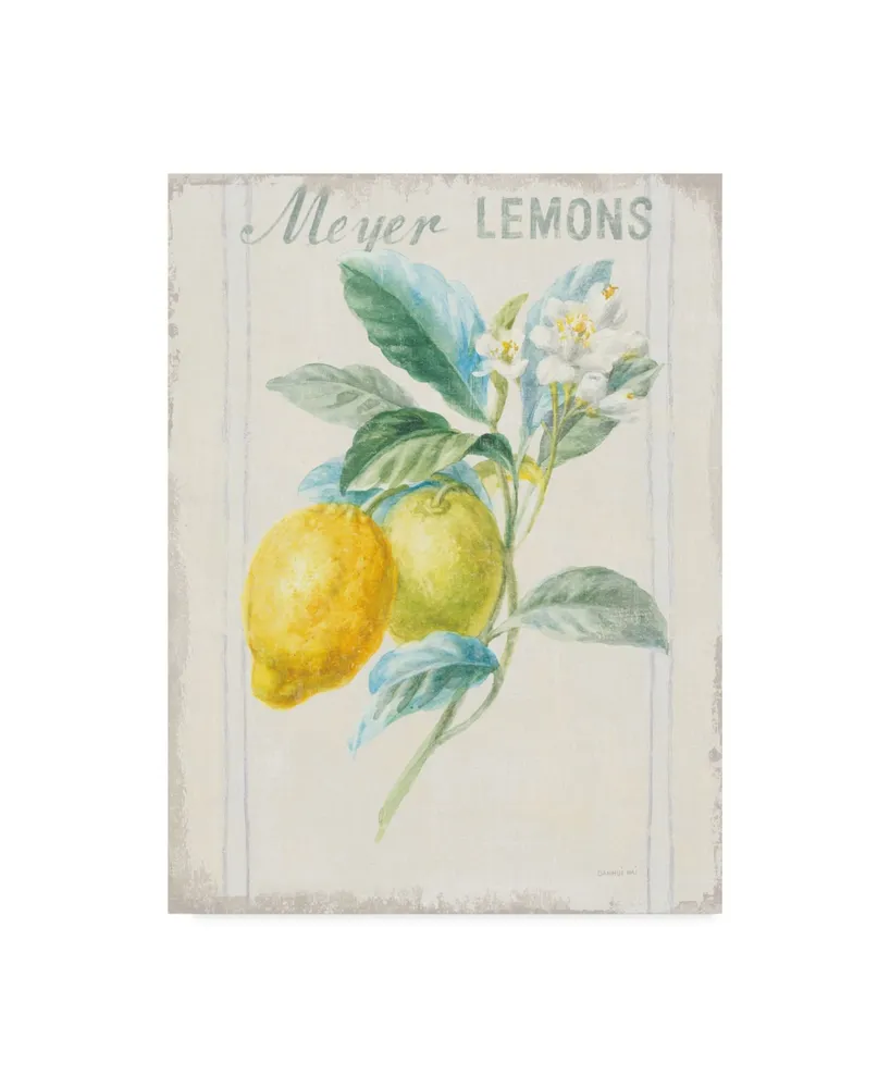 Danhui Nai Floursack Lemon Ii V2 Canvas Art