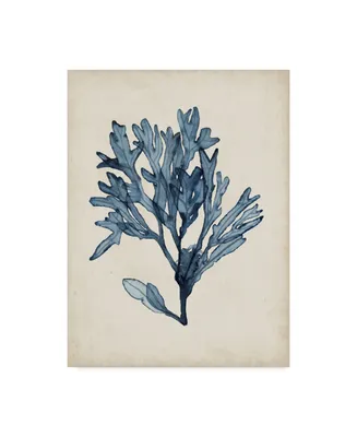 Naomi Mccavitt Seaweed Specimens Ii Canvas Art