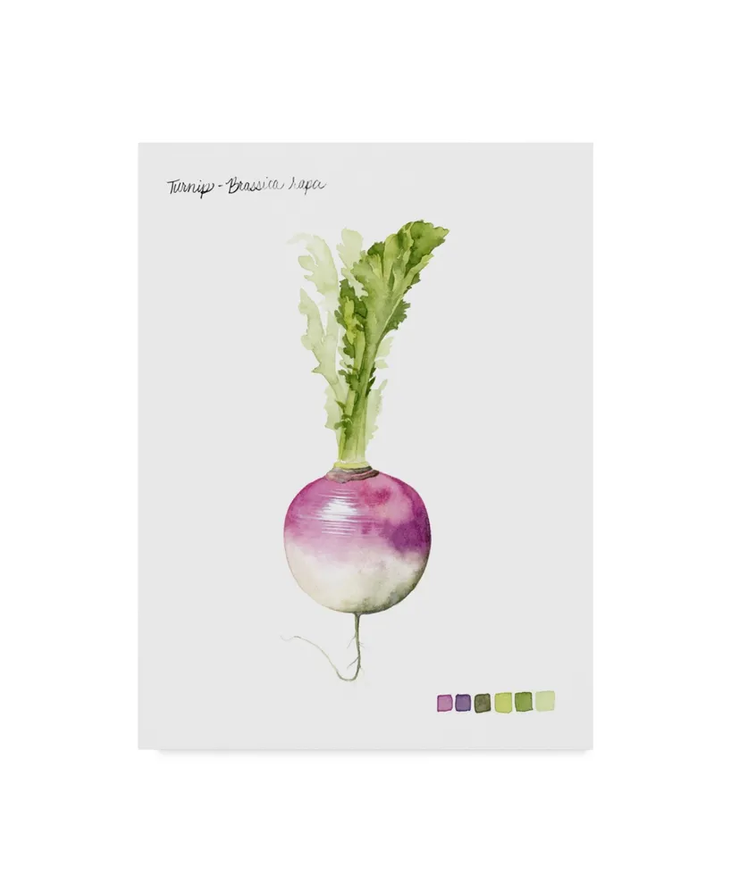 Grace Popp Root Vegetable Vi Canvas Art