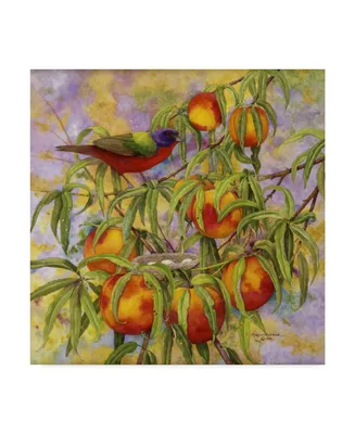 Marcia Matcham Painted Bunting and Peaches Canvas Art