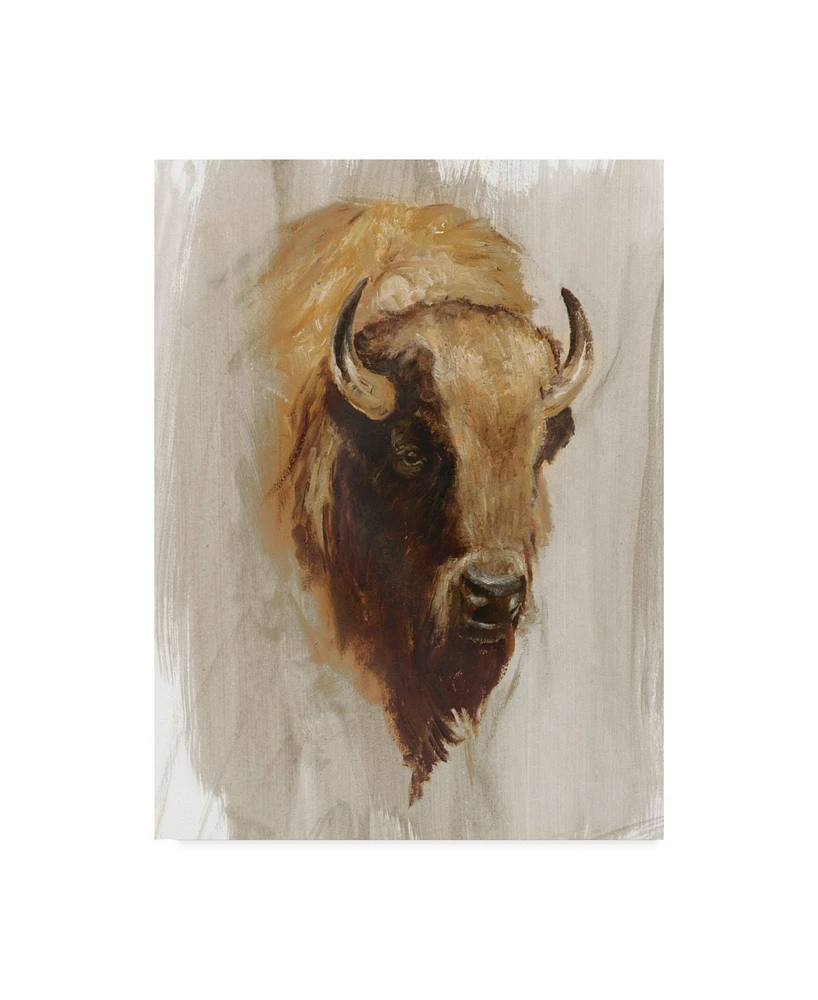 Ethan Harper Western American Animal Study Iii Canvas Art