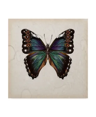 Melissa Wang Butterfly Study Iii Canvas Art