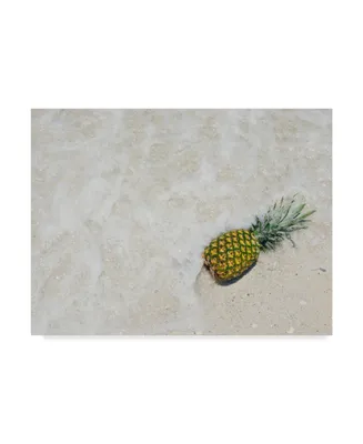Adam Mead South Florida Pineapple V Canvas Art