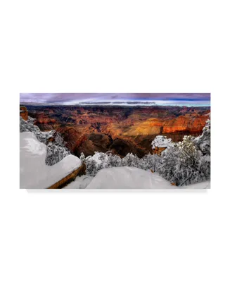 David Drost Snowy Grand Canyon Vii Canvas Art