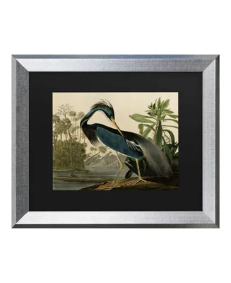John James Audubon Louisiana Heron Matted Framed Art