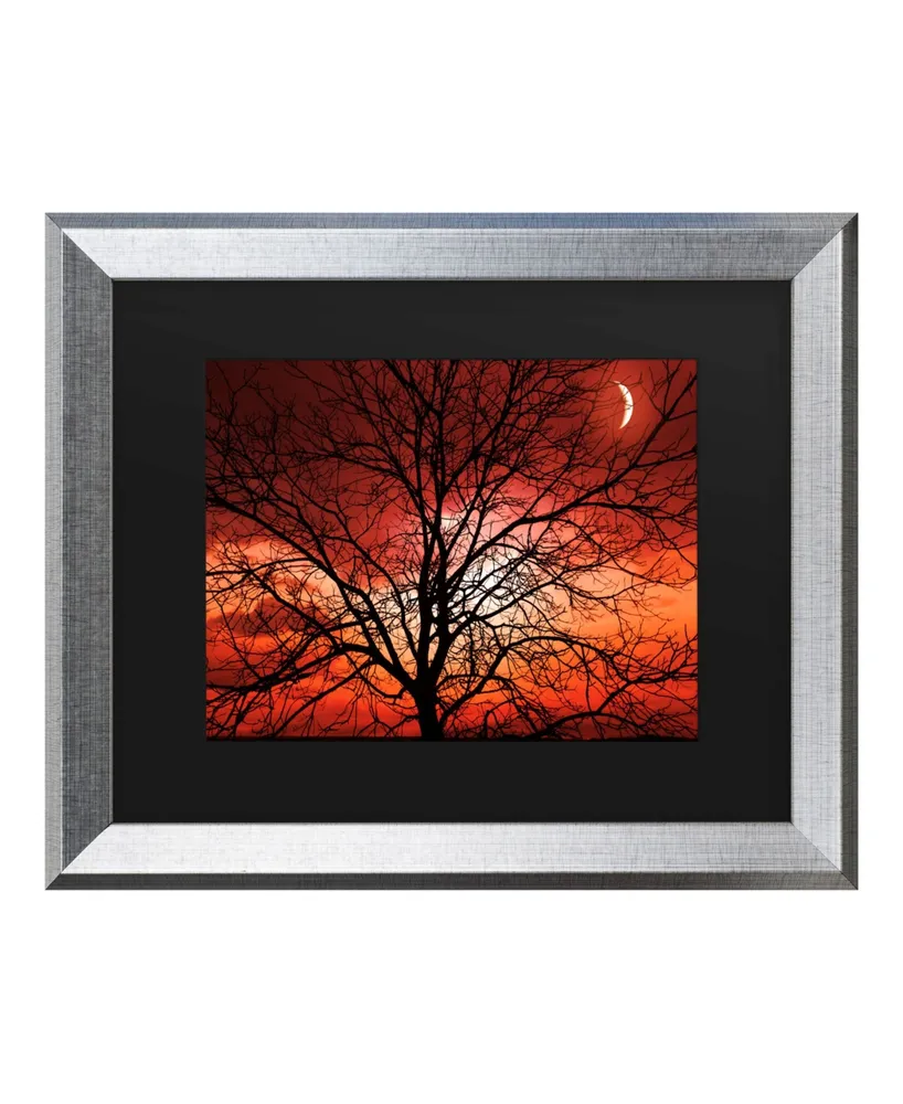 Philippe Sainte-Laudy Big Bad Moon Matted Framed Art