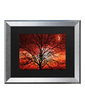 Philippe Sainte-Laudy Big Bad Moon Matted Framed Art