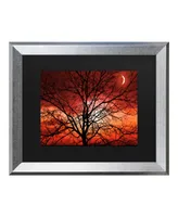 Philippe Sainte-Laudy Big Bad Moon Matted Framed Art