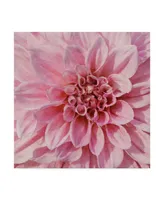 Alonzo Saunders Wall Flower Vii Canvas Art