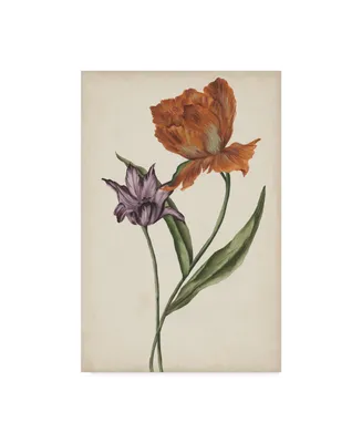 Melissa Wang Two Tulips Ii Canvas Art