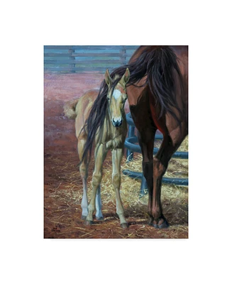Jack Sorenson Horses Bad Hair Day Canvas Art - 20" x 25"