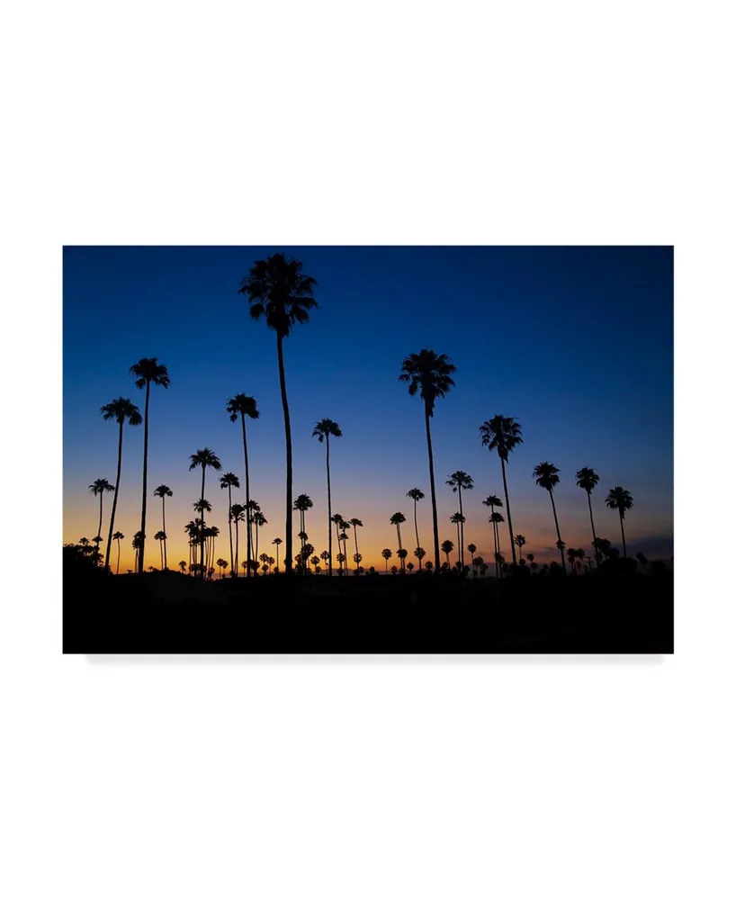 American School Palm Trees Ventura Canvas Art - 37" x 49"