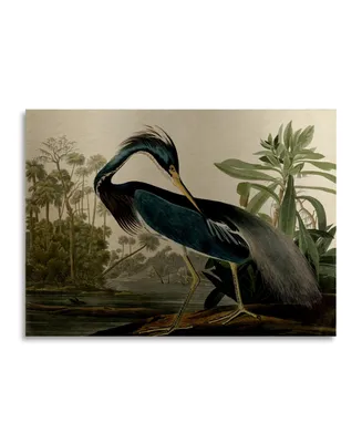 John James Audubon Louisiana Heron Floating Brushed Aluminum Art - 22" x 25"