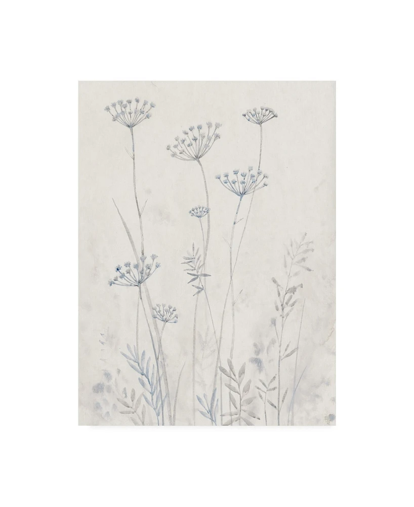 Tim Otoole Neutral Queen Anne's Lace Ii Canvas Art - 20" x 25"