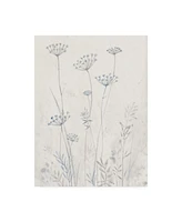 Tim Otoole Neutral Queen Anne's Lace Ii Canvas Art - 20" x 25"