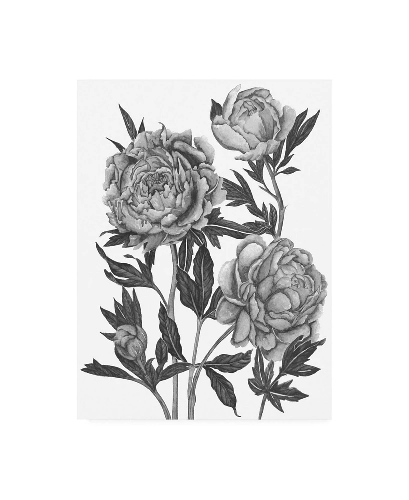 Melissa Wang Flowers in Grey V Canvas Art - 37" x 49"