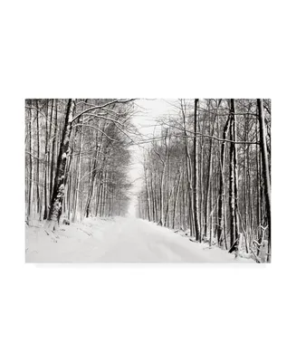 James Mcloughlin A Snowy Walk Iii Canvas Art