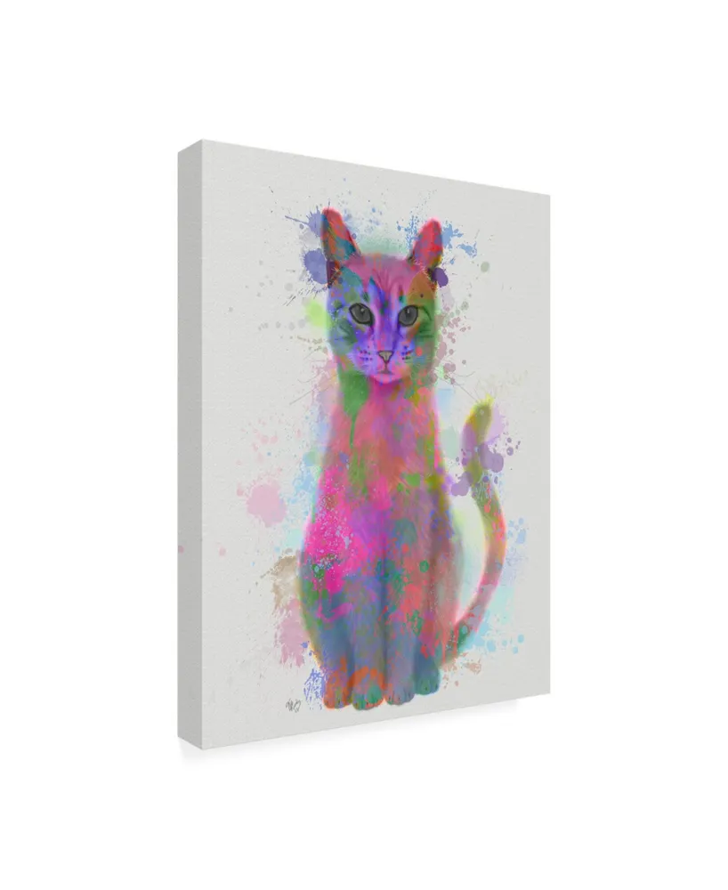 Fab Funky Cat Rainbow Splash Canvas Art
