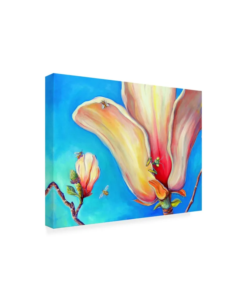 Deborah Broughton Magnolia mantis Canvas Art
