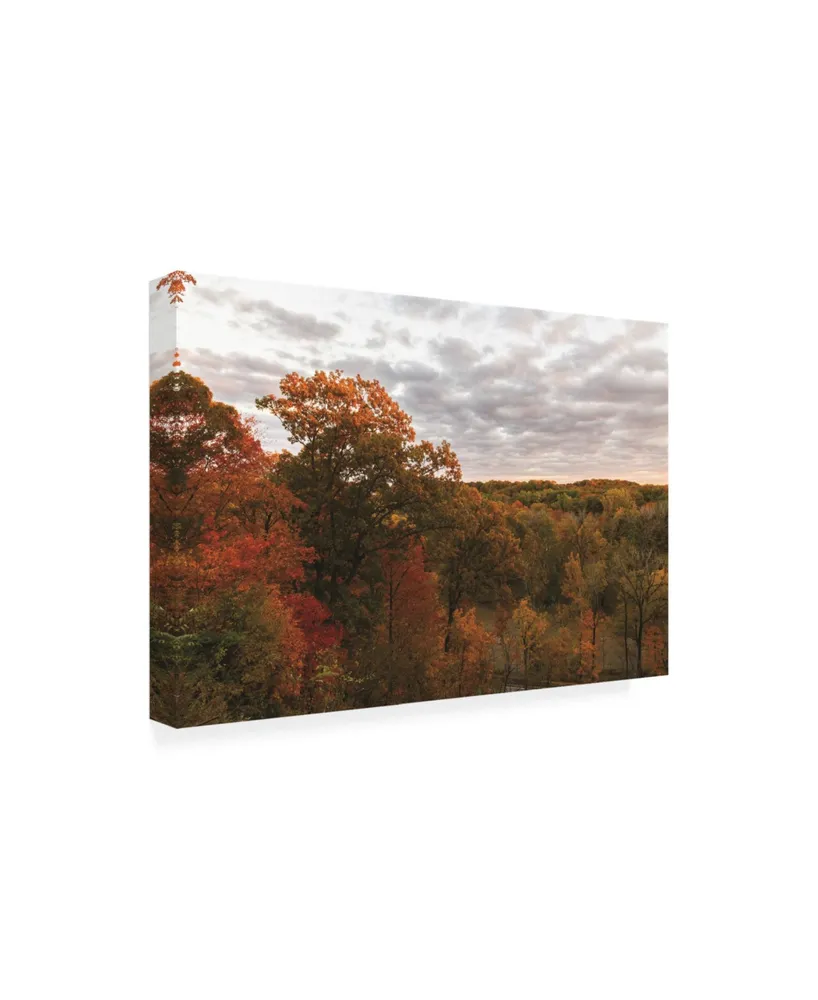 Kurt Shaffer Photographs Colors of Autumn at Sunset Canvas Art