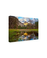 Dave Gordo A Mothers Tree Canvas Art - 27" x 33.5"