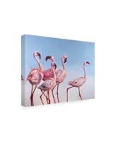 Lucia Hefferna Pink Ladies Flamingos Canvas Art - 27" x 33.5"
