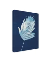 Piper Rhue Nature By the Lake - Ferns Iii Canvas Art