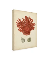 Vision Studio Antique Red Coral Iii Canvas Art - 20" x 25"