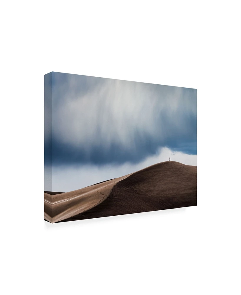John Fan Storm Chaser Desert Canvas Art - 37" x 49"