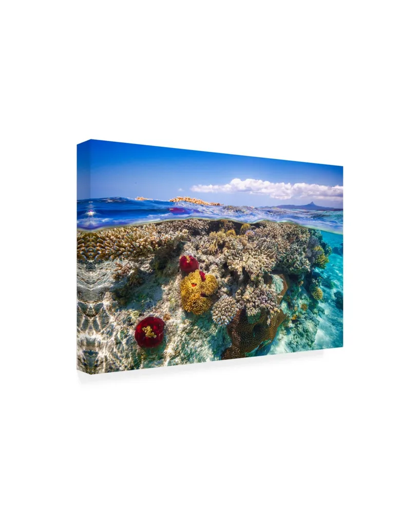 Barathieu Gabriel Mayotte the Reef Canvas Art