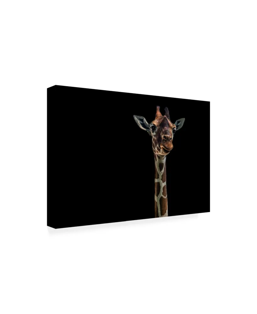 Branko Markovic Hello Giraffe Canvas Art