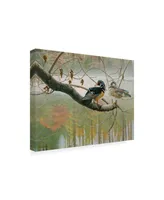 Michael Budden Colors of Autumn Duck Canvas Art - 15" x 20"