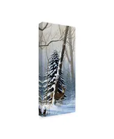 Michael Budden Winter Light, Buck Canvas Art - 20" x 25"