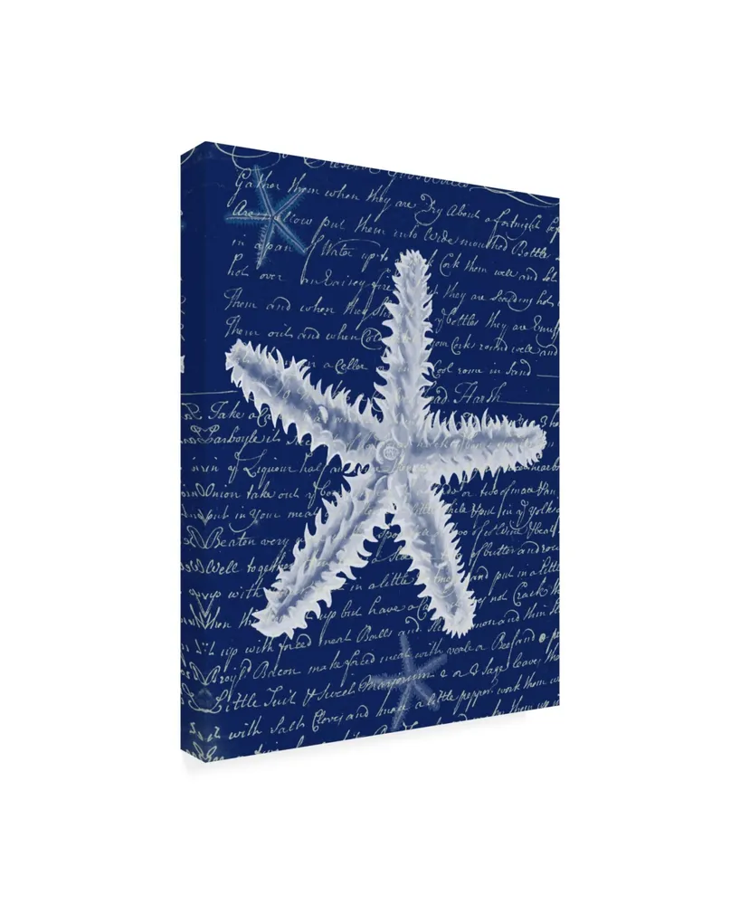 Fab Funky White Starfish on Blue B Canvas Art