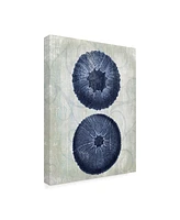 Fab Funky Indigo Blue Sea Urchins B Canvas Art - 19.5" x 26"