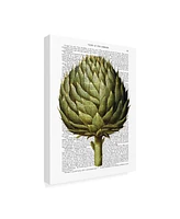 Fab Funky Globe Artichoke Print 2 Canvas Art - 19.5" x 26"