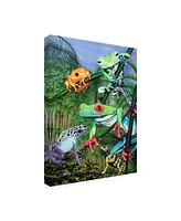 Patrick Sullivan Tree Frogs Canvas Art - 19.5" x 26"