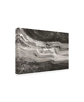 Albena Hristova Currents Gray Black White Canvas Art - 19.5" x 26"