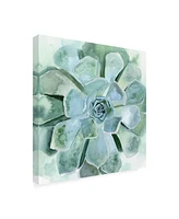 Victoria Borges Verdant Succulent Iii Canvas Art - 19.5" x 26"