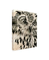 Jennifer Paxton Parker Charcoal Owl I Canvas Art - 27" x 33.5"