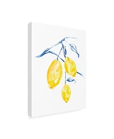 Jennifer Goldberger Watercolor Lemons I Canvas Art - 27" x 33.5"