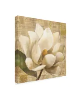 Albena Hristova Magnolia Blossom on Script Canvas Art - 15" x 20"